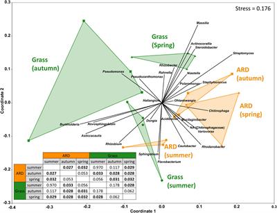 Dynamics of Bacterial Root Endophytes of Malus domestica Plants Grown in Field Soils Affected by Apple Replant Disease